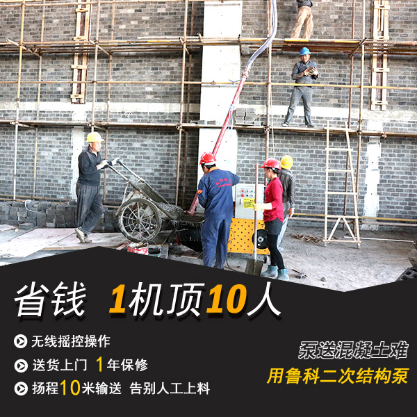 萨奥机械赢咖2输送泵
